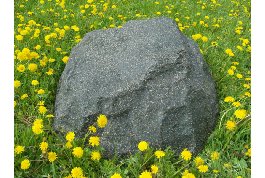 Искусственный камень из стеклопластика ф30 см