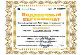 Подарочный  сертификат на сумму 5000 руб