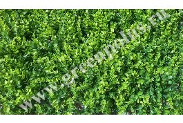 Искусственная зелень "Самшит" крупный салатовый, 40x60 см