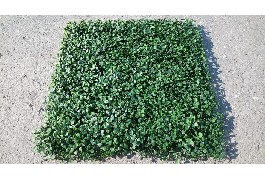 Искусственная зелень "Самшит искусственный", зеленый 40x60 см